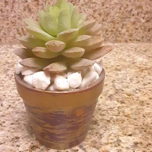 Artificial succulent